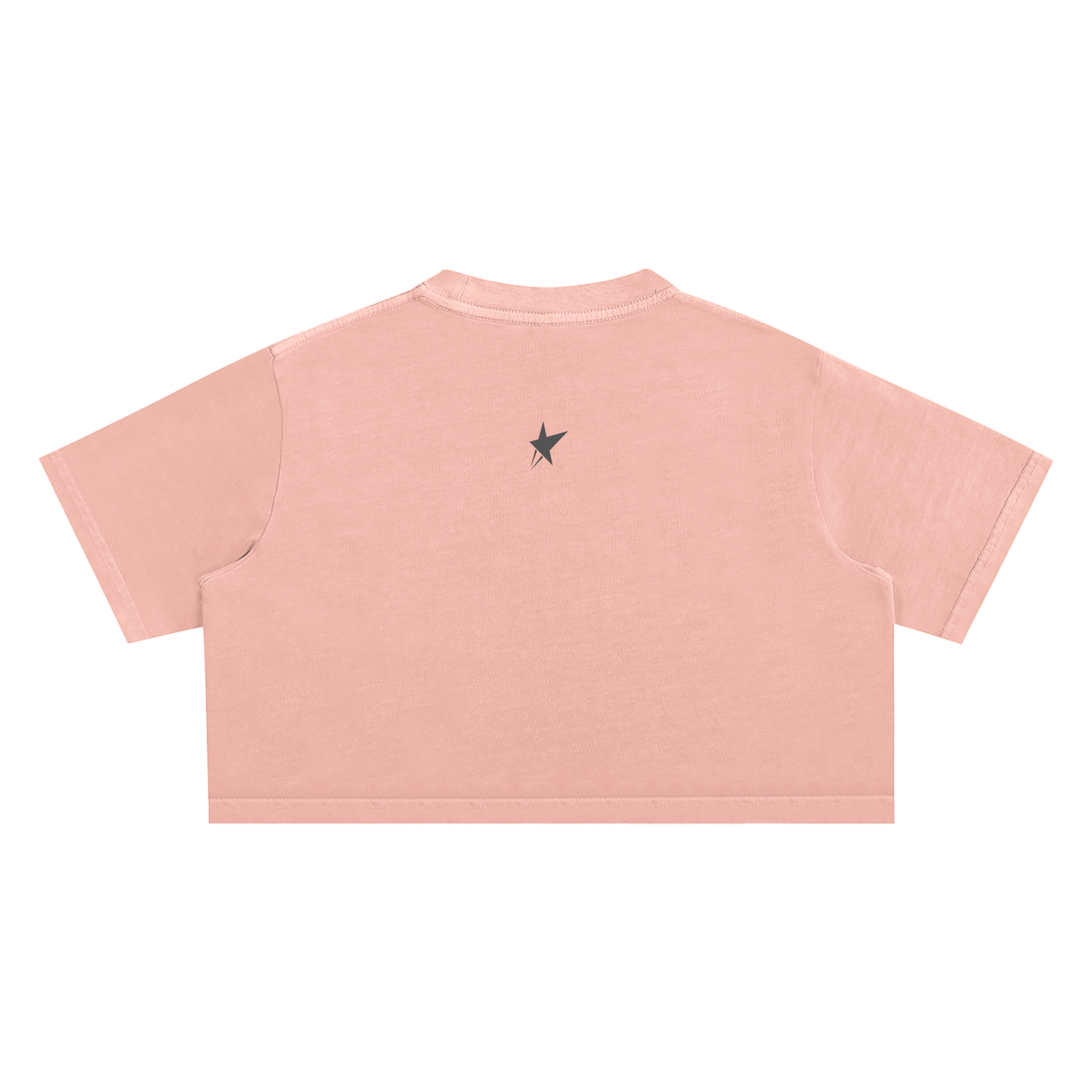 Snow Washed Crop Top